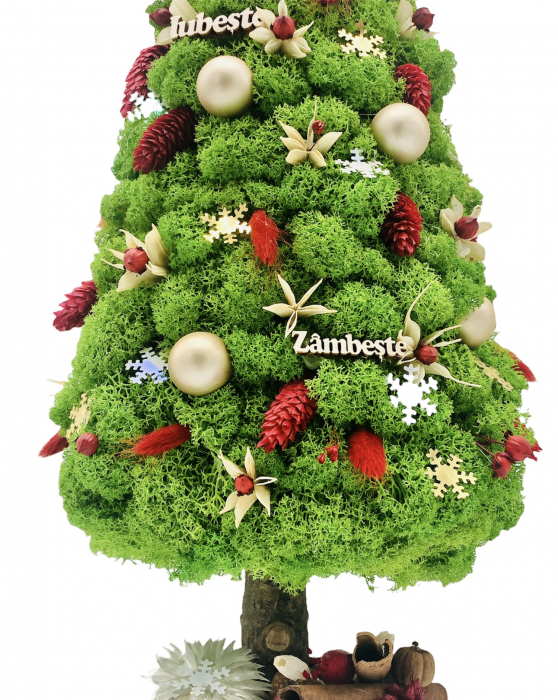 Brad de Crăciun din Licheni Naturali Stabilizați cu Decorațiuni de Sezon - 49 cm, Verde, Personalizabil [2]