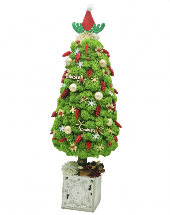 Brad de Crăciun din Licheni Naturali Stabilizați cu Decorațiuni de Sezon - 49 cm, Verde, Personalizabil [6]