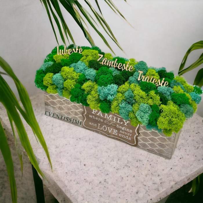 Aranjament decorativ cu licheni si mesaje motivationale, tip jardiniera , personalizabil cromatic, in cutie de lemn ,cu licheni stabilizati  (Verde) [2]