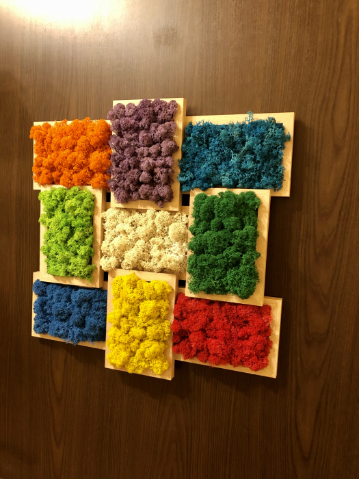 Aranjament floral cu licheni in rama, Eventissimi, Multicolor, 45 cm / 45 cm [2]