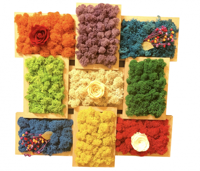 Aranjament floral cu licheni, personalizabil, trandafiri criogenati si plante uscate in rama, Eventissimi, Multicolor, 45 cm / 45 cm [6]