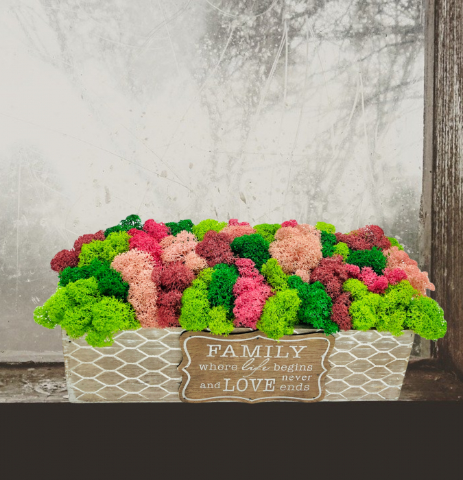 Aranjament floral cu licheni stabilizati in cutie cadou, personalizabil, Eventissimi, Multicolor [4]