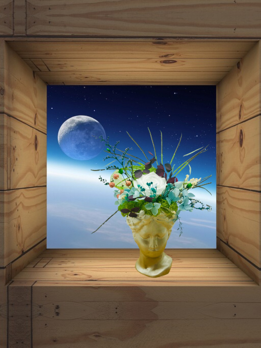 Aranjament floral cu Trandafir Criogenat si plante Criogenate in vaza Venus, Eventissimi [2]