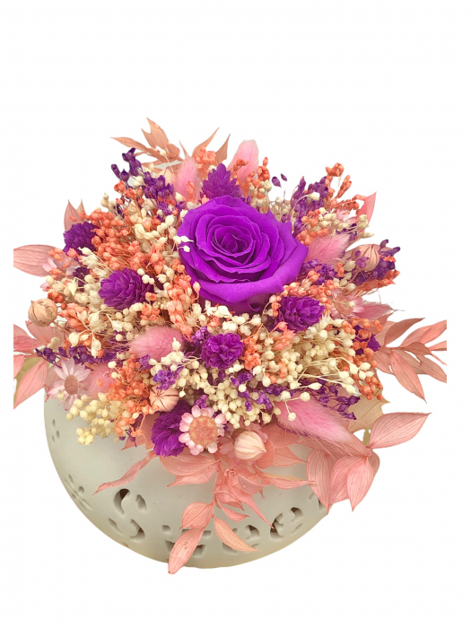 Aranjament Floral cu Trandafir Criogenat si Plante Naturale Uscate in vas Ceramic Multicolor, Eventissimi [1]