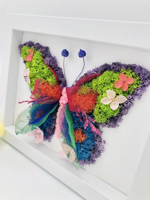 Aranjament floral, Fluture, Rama / Tablou cu licheni, frunze fosilizate si plante naturale criogenate si fosilizate, Eventissimi, Personalizabil, Multicolor [4]