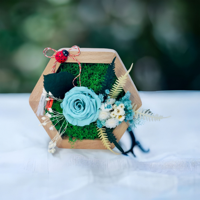 Aranjament floral hexagon cu licheni , mini roza si plante criogenate (Bleu, verde) [3]