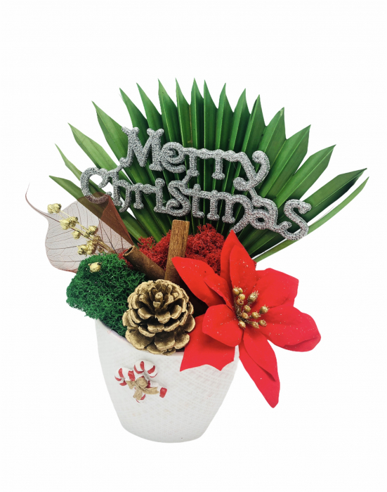 Aranjament Floral Merry Christmas cu Licheni si alte elemente naturale, Eventissimi, Multicolor [2]