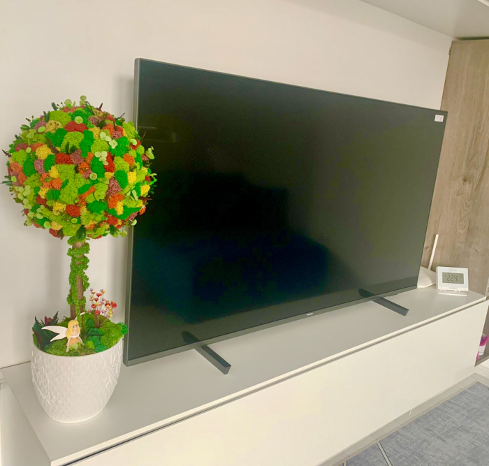 Aranjament floral personalizabil, Copacel / Pomisor cu licheni stabilizati, plante criogenate si muschi stabilizati, Verde, 55 cm, vaza ceramica (Multicolor) [2]