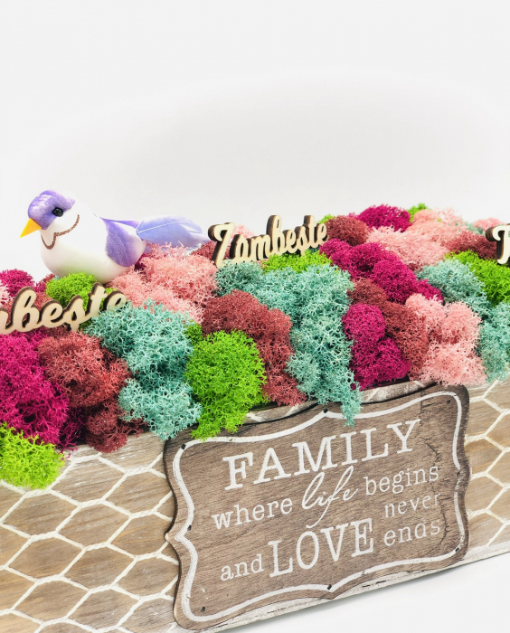 Aranjament floral personalizabil cu licheni stabilizati in cutie cadou (Multicolor) [3]