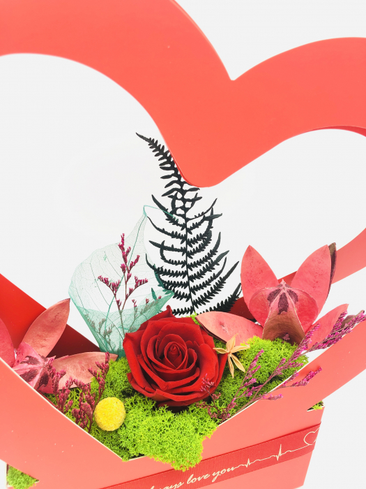 Aranjament floral personalizabil, Eventissimi, Inima cu licheni si trandafir criogenat, Multicolor [4]
