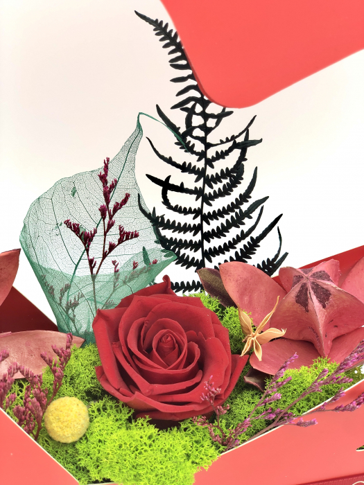 Aranjament floral personalizabil, Eventissimi, Inima cu licheni si trandafir criogenat, Multicolor [5]