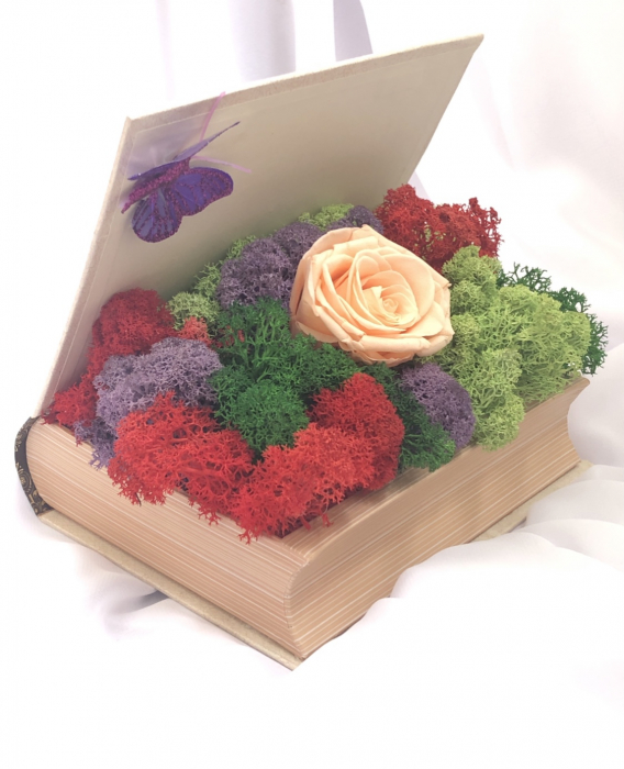 Aranjament floral personalizabil in carte cu licheni stabilizati si trandafir criogenat, Eventissimi [3]