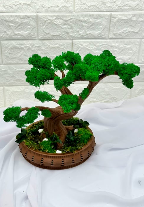 Bonsai cu licheni, muschi naturali stabilizati si plante criogenate, mare (28x31x16 cm), verde / maro [4]