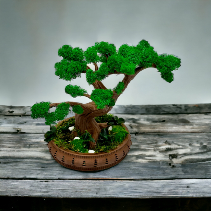 Bonsai cu licheni, muschi naturali stabilizati si plante criogenate, mare (28x31x16 cm), verde / maro [3]