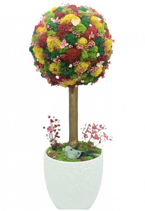 Aranjament floral tip Copacel / Pomisor cu licheni naturali stabilizati si plante naturale criogenate si uscate, Eventissimi, Verde, 55 cm, vaza ceramica, personalizabil [5]