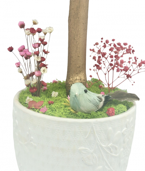 Aranjament floral tip Copacel / Pomisor cu licheni naturali stabilizati si plante naturale criogenate si uscate, Eventissimi, Verde, 55 cm, vaza ceramica, personalizabil [6]