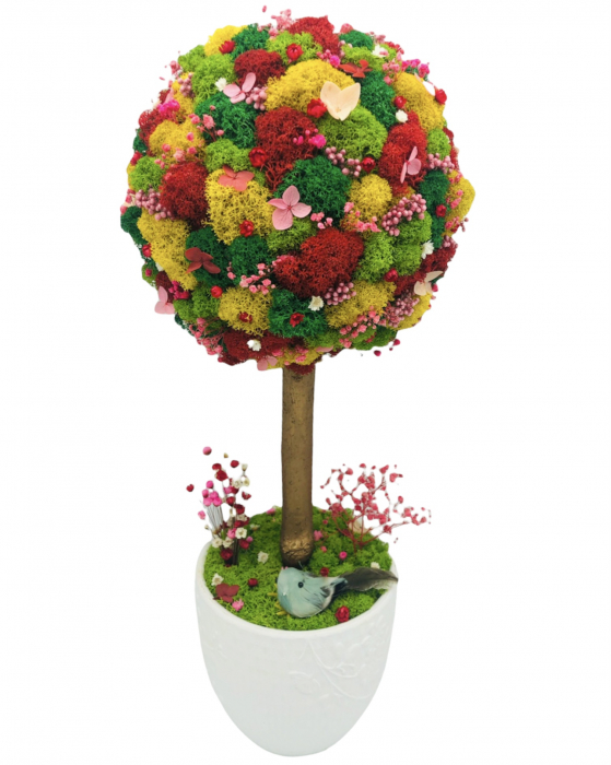 Aranjament floral tip Copacel / Pomisor cu licheni naturali stabilizati si plante naturale criogenate si uscate, Eventissimi, Verde, 55 cm, vaza ceramica, personalizabil [3]