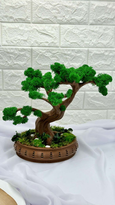 Bonsai cu licheni, muschi naturali stabilizati si plante criogenate, mare (28x31x16 cm), verde / maro [2]