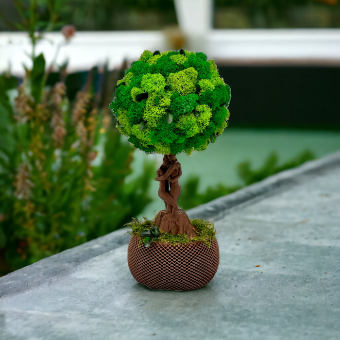 Pomisor cu licheni din muschi naturali stabilizati si plante criogenate cu trunchi statueta indragostiti, mediu (30x15x15 cm), verde / maro [2]