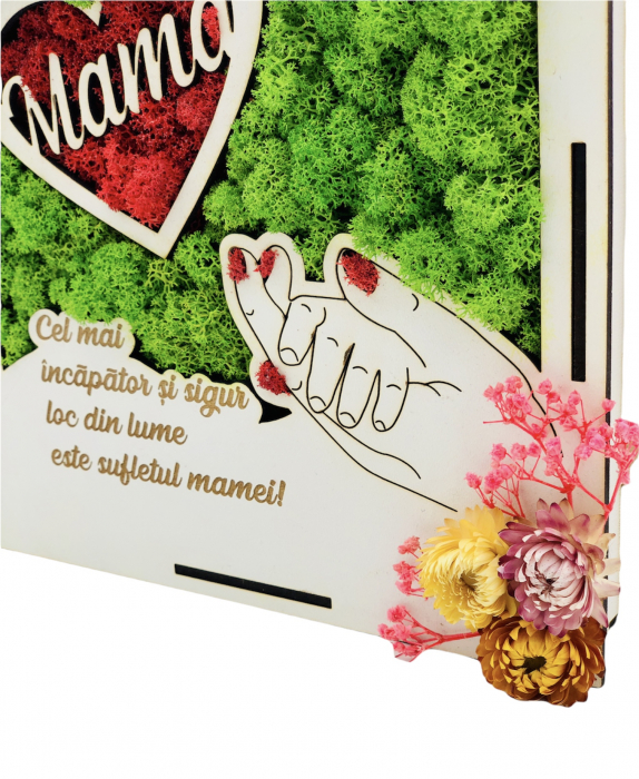 Decoratiune cu licheni pentru mama, 20x20 cm, Eventissimi, Verde cu Rosu [4]