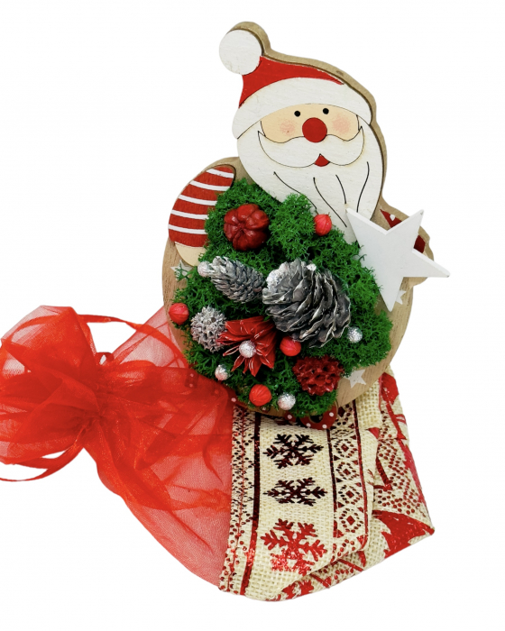 Magnet de frigider cu licheni stabilizati pentru Craciun [3]