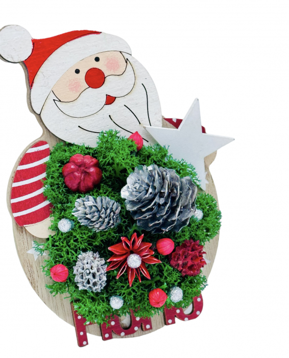 Magnet de frigider cu licheni stabilizati pentru Craciun [4]