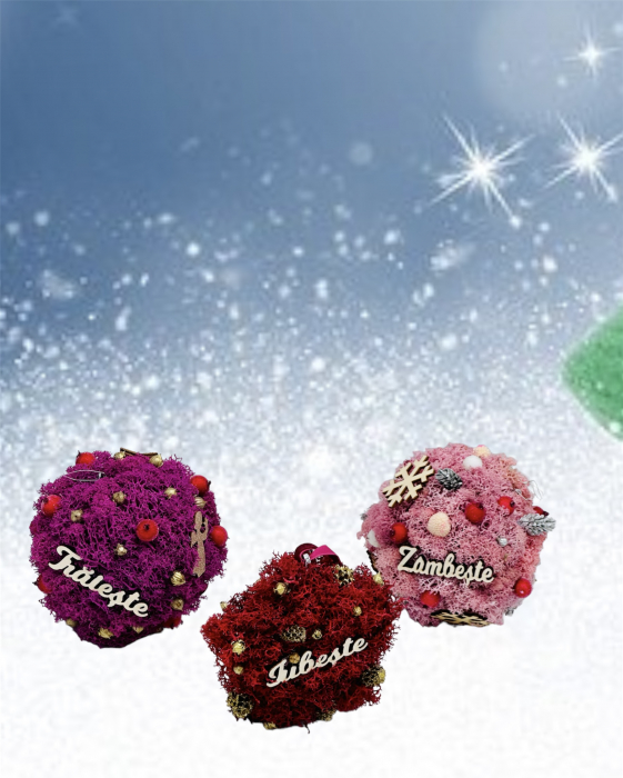 Set 3 globuri cu licheni stabilizati si mesaje (Multicolor) [2]