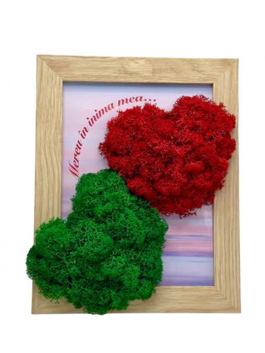 Tablou cu licheni personalizabil, inimi (Rosu/Verde) [3]