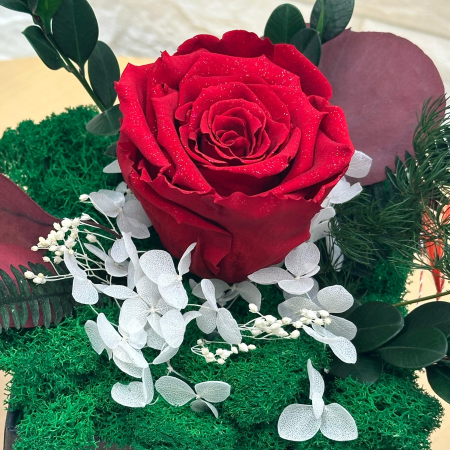 Aranjament cu trandafir criogenat si licheni naturali stabilizati in cutie eleganta – cadou premium personalizat cu flori de lunga durata [3]