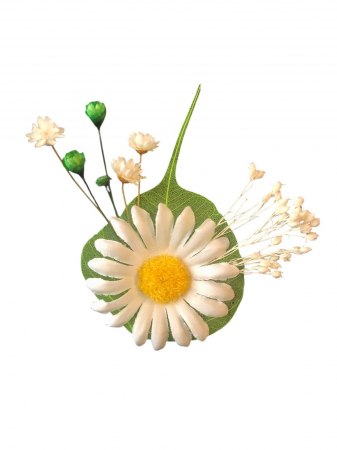 Cocarde - Cocarda cu Margareta matase și Flori Naturale Uscate