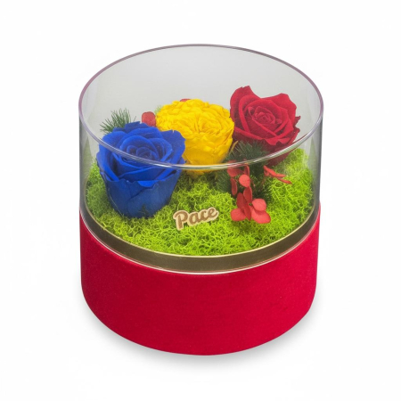 Globuri de craciun - Aranjament tricolor cu trandafiri criogenati , in cutie catifea cu capac detasabil