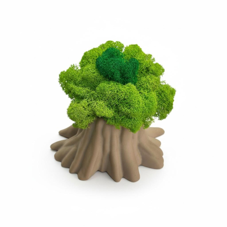 Licheni stabilizati - Decoratiune cu licheni stabilizati in vas tip buturuga printat 3D – decor natural modern pentru birou si casa