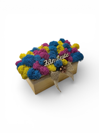 Magazin - Aranjament decorativ cu licheni si mesaj motivational, tip jardiniera , personalizabil cromatic, in cutie de lemn ,cu licheni stabilizati