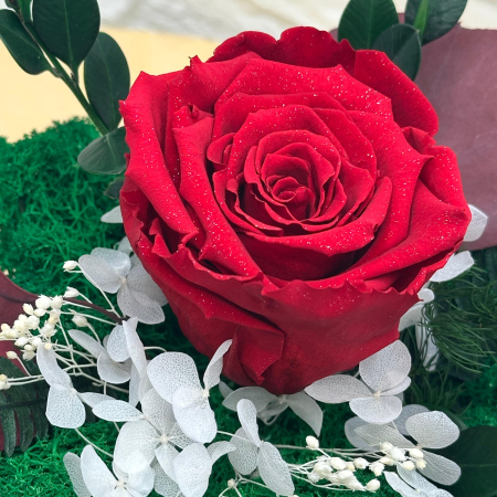 Aranjament cu trandafir criogenat si licheni naturali stabilizati in cutie eleganta – cadou premium personalizat cu flori de lunga durata [5]