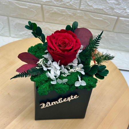 Aranjament cu trandafir criogenat si licheni naturali stabilizati in cutie eleganta – cadou premium personalizat cu flori de lunga durata [2]
