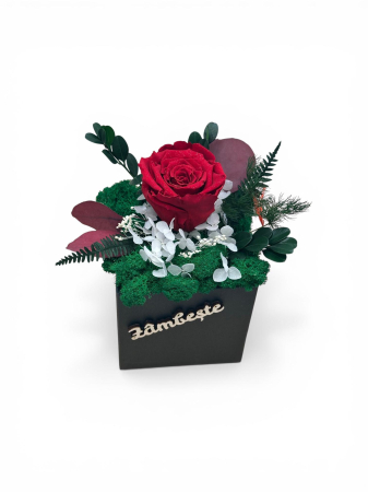 Magazin - Aranjament cu trandafir criogenat si licheni naturali stabilizati in cutie eleganta – cadou premium personalizat cu flori de lunga durata