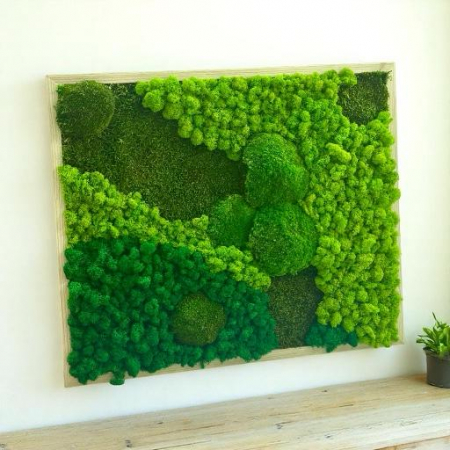 Tablou cu muschi bombati, muschi plati si licheni stabilizati 64x53 cm [3]