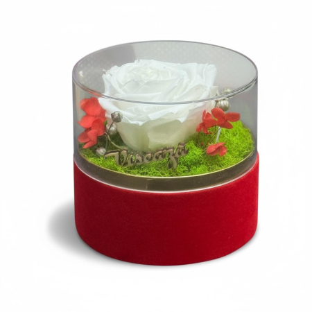 Magazin - Aranjament cu trandafir criogenat , in cutie catifea cu capac detasabil