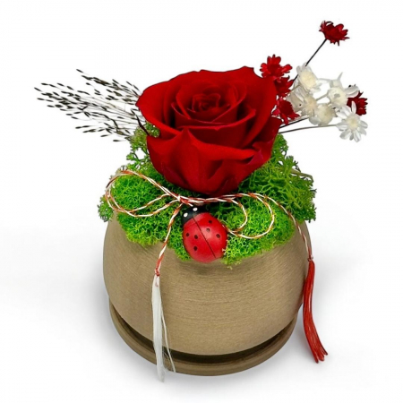 Aranjamente florale cu flori din matase - Aranjament  mic cu licheni stabilizați și trandafir criogenat – Cadou elegant și durabil
