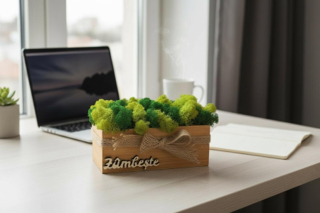 Aranjament decorativ cu licheni si mesaj motivational, tip jardiniera , personalizabil cromatic, in cutie de lemn ,cu licheni stabilizati [1]