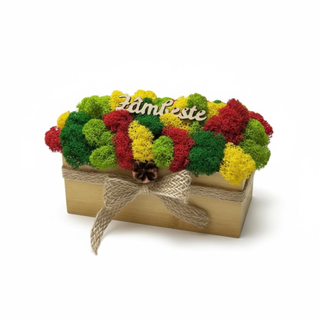 Magazin - Aranjament decorativ cu licheni si mesaj motivational, tip jardiniera , personalizabil cromatic, in cutie de lemn ,cu licheni stabilizati