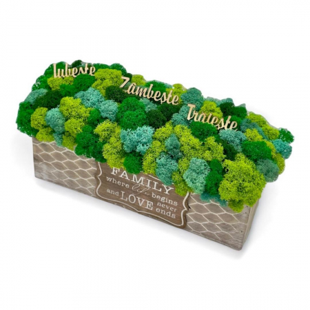 Ziua Femeii - Aranjament decorativ cu licheni si mesaje motivationale, tip jardiniera , personalizabil cromatic, in cutie de lemn ,cu licheni stabilizati  (Verde)
