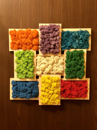 Aranjament floral cu licheni in rama, Eventissimi, Multicolor, 45 cm / 45 cm [3]