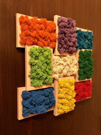 Aranjament floral cu licheni in rama, Eventissimi, Multicolor, 45 cm / 45 cm [2]