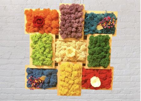 Aranjament floral cu licheni, personalizabil, trandafiri criogenati si plante uscate in rama, Eventissimi, Multicolor, 45 cm / 45 cm [1]
