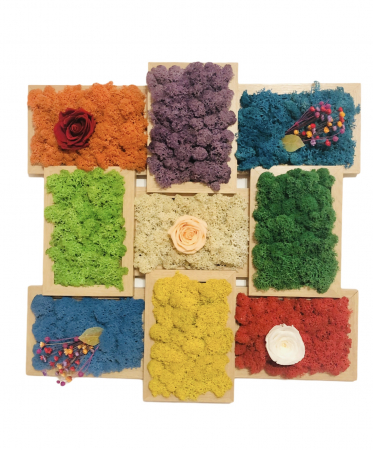 Aranjament floral cu licheni, personalizabil, trandafiri criogenati si plante uscate in rama, Eventissimi, Multicolor, 45 cm / 45 cm [2]