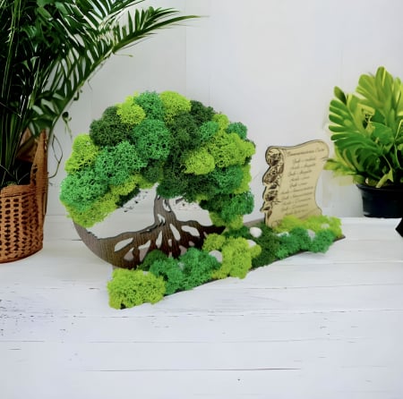 Aranjament cu licheni si "Binecuvantarea casei" (Verde) [1]