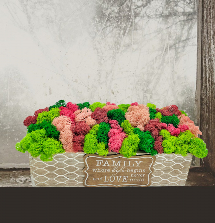 Aranjament floral cu licheni stabilizati in cutie cadou, personalizabil, Eventissimi, Multicolor [3]