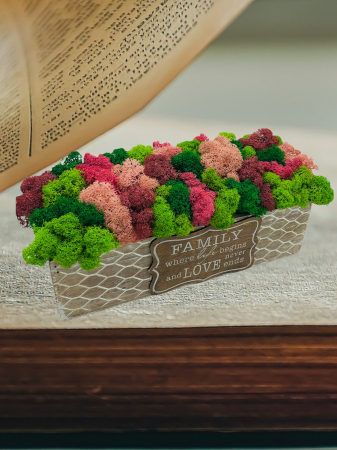 Aranjament floral cu licheni stabilizati in cutie cadou, personalizabil, Eventissimi, Multicolor [1]