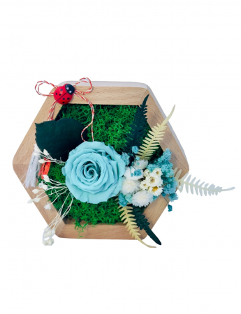Aranjamente florale cu plante uscate - Aranjament floral hexagon cu licheni , mini roza si plante criogenate (Bleu, verde)